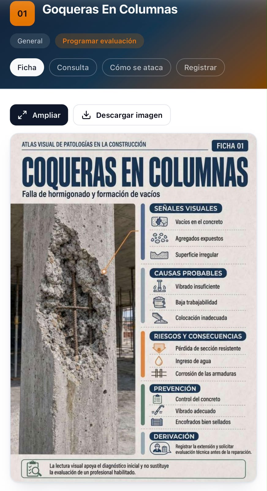 App: ficha abierta dentro de la app